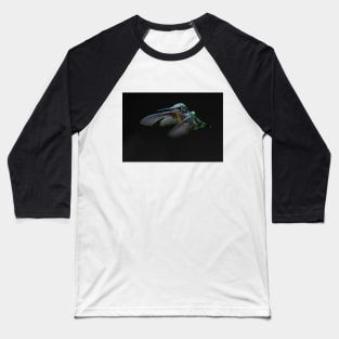 Ruby-throated hummingbird Baseball T-Shirt